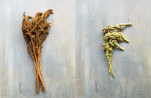 3 unique color palettes for your Halloween decor