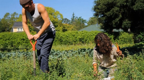 Edible City: The Food Revolution is in the West