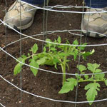 How to make a tomato cage