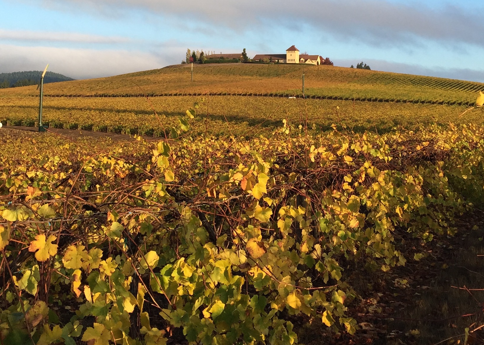 3 stealable garden ideas from Oregon’s King Estate