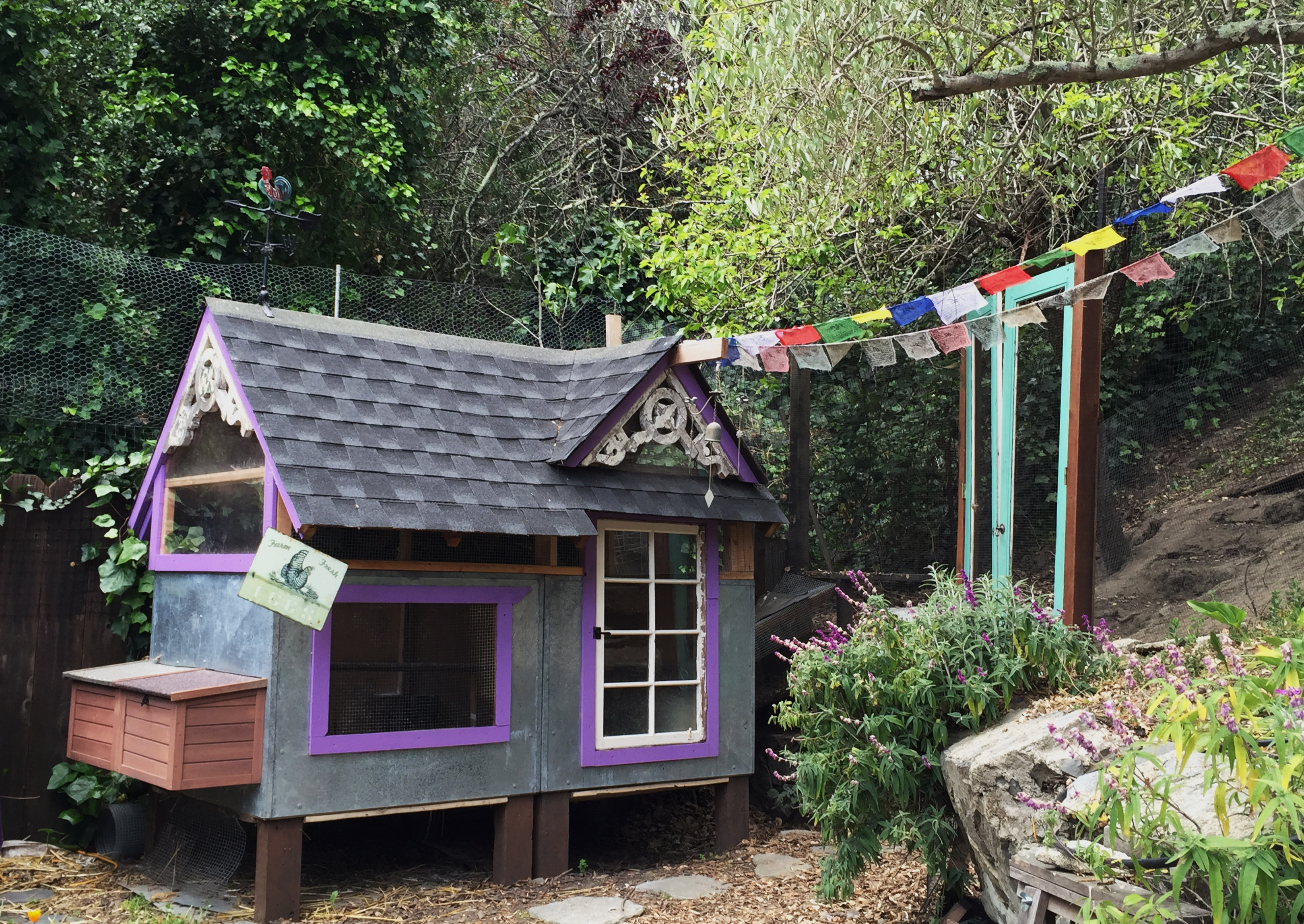 A vintage chicken coop with a ‘chunnel’