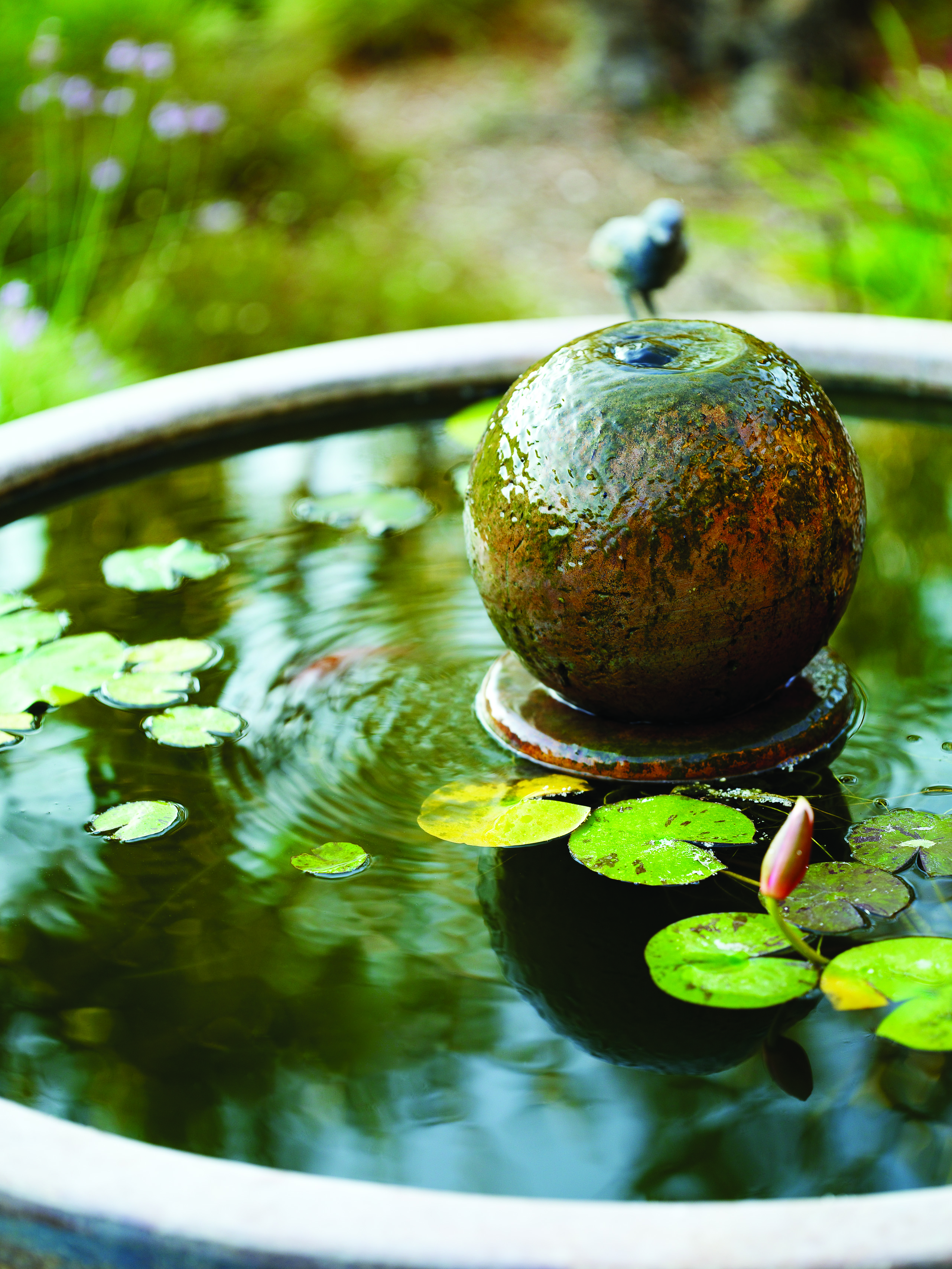 The Easiest Way to Bring Birds to Your Garden