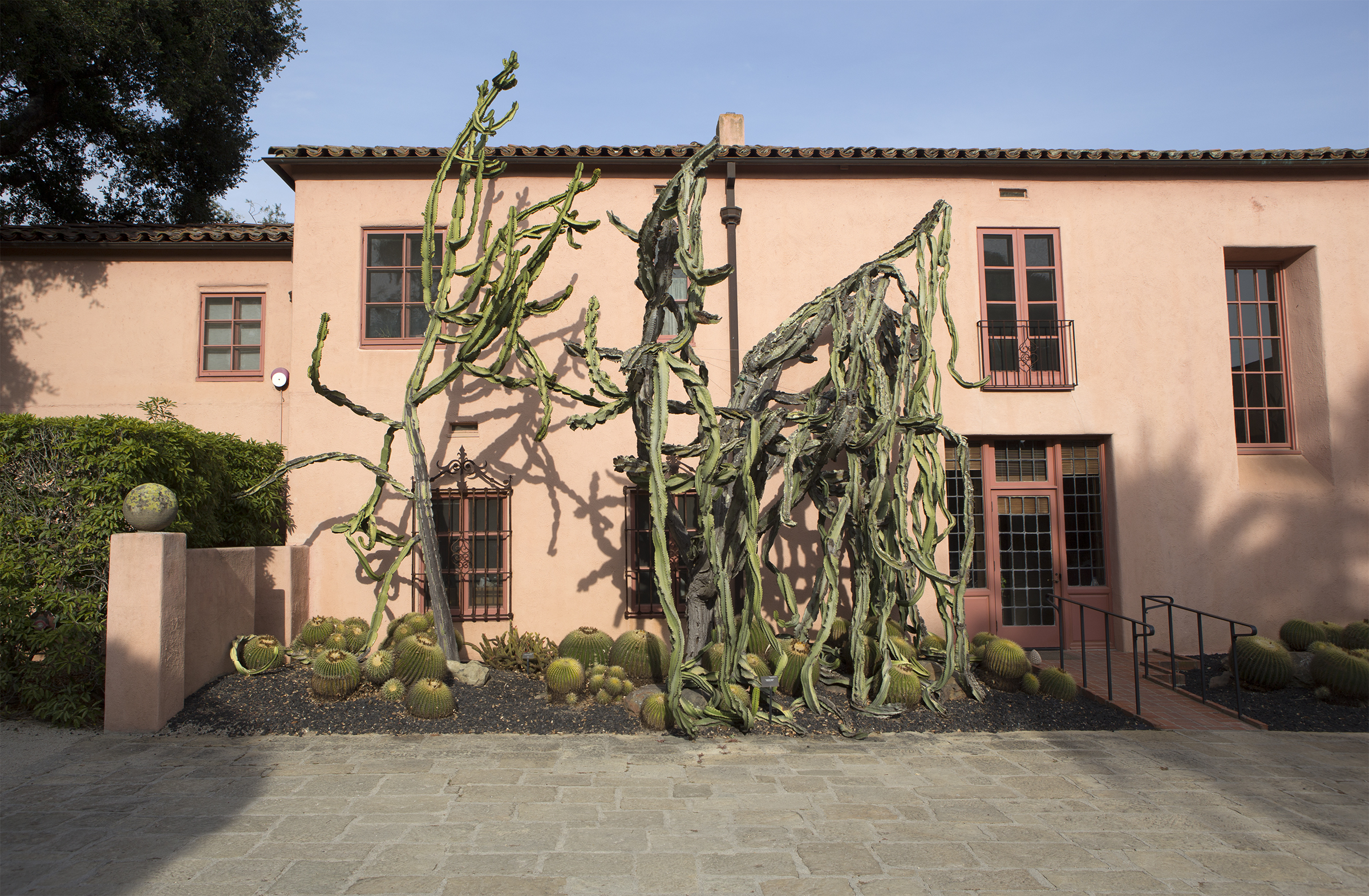 Last chance to see Lotusland in 2015