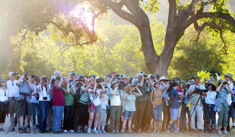 Bird’s the word: L.A.’s Bird Day on May 7th