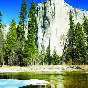 Child contracts plague from camping in Yosemite National Park