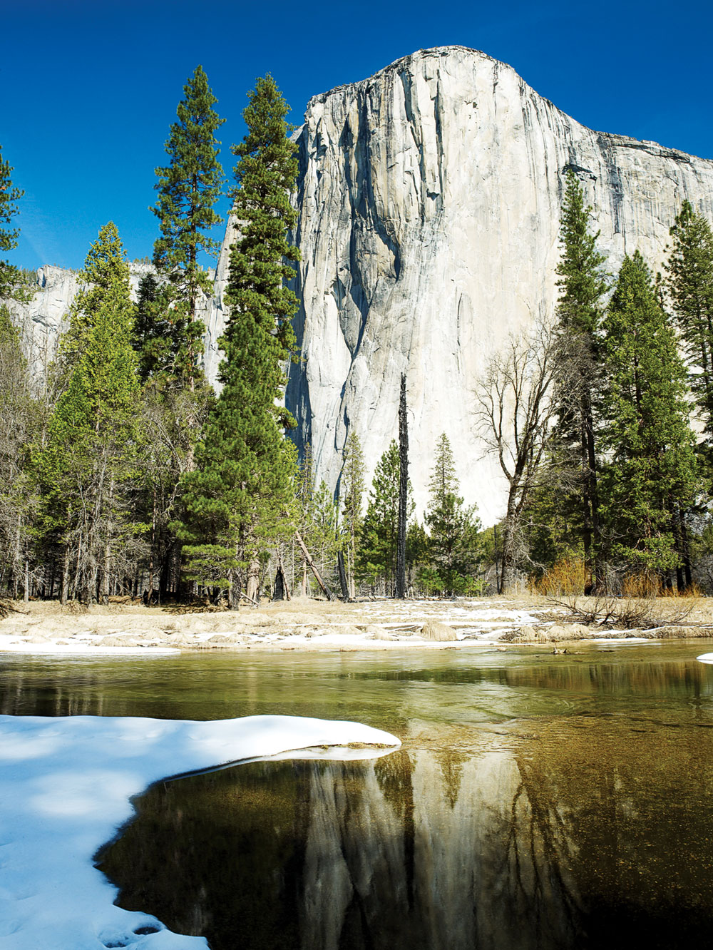 5 things to do in Yosemite with a toddler
