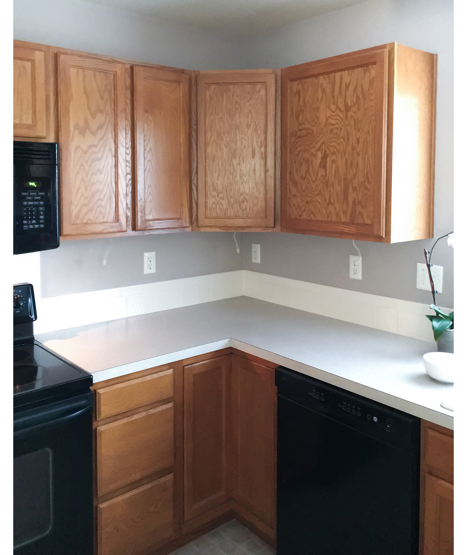 the-problem-outdated-kitchen-cabinets