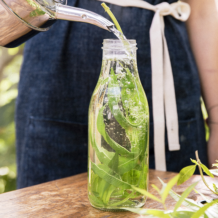 su-Lemon Verbena Iced Tea Image