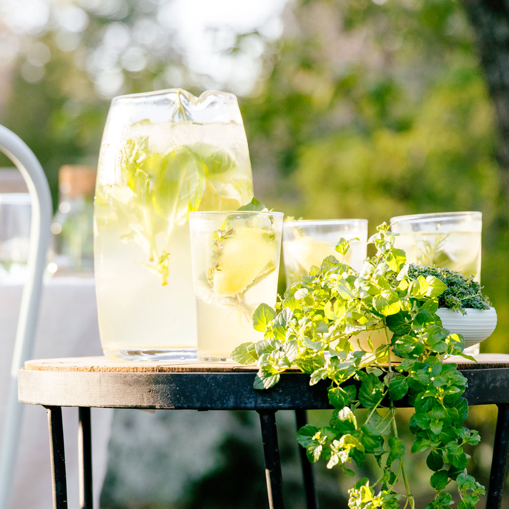 su-Sparkling Herb and Lemon Spritzer Image