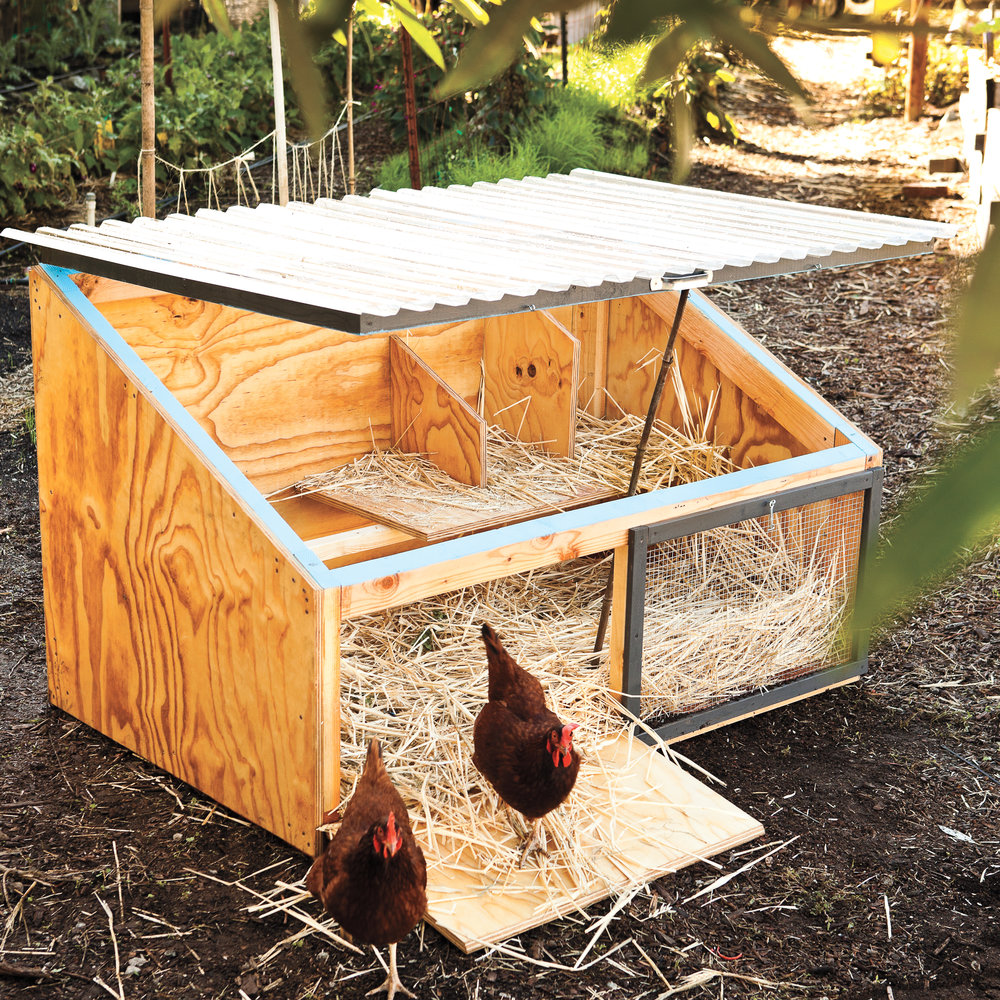 diy-coop-under-50-google-search-cheap-chicken-coops-chicken-coop