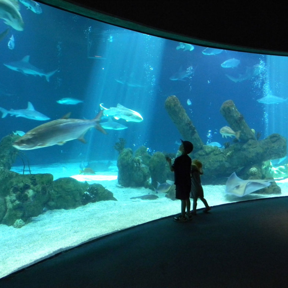 Top 14 Aquariums to Visit - Sunset Magazine