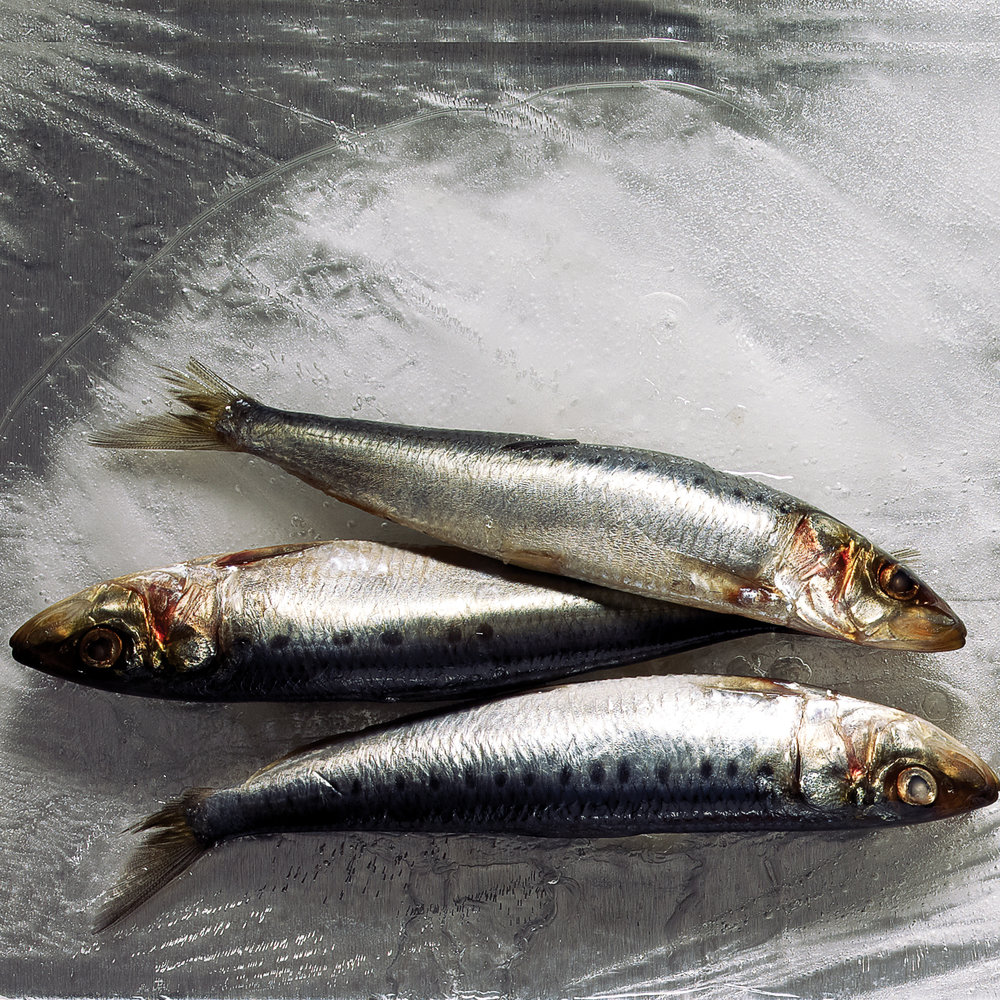 How to Clean and Fillet Sardines - Sunset Magazine