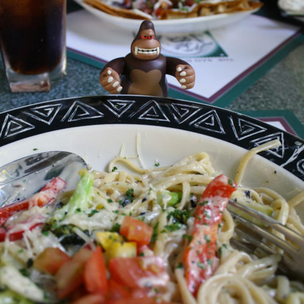 Insider Guide to the San Diego Zoo Sunset Magazine