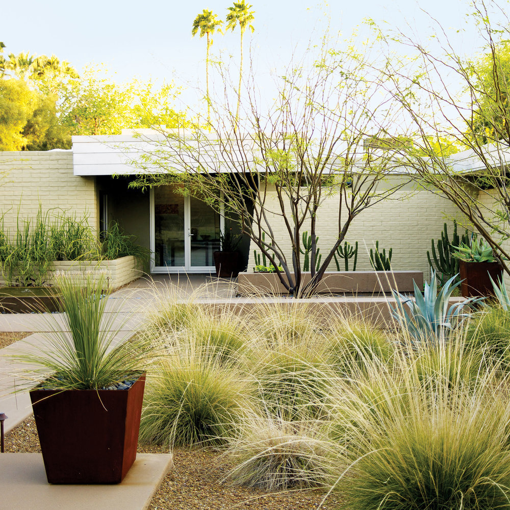 Sometimes the best way to reinvent a front yard is the simplest