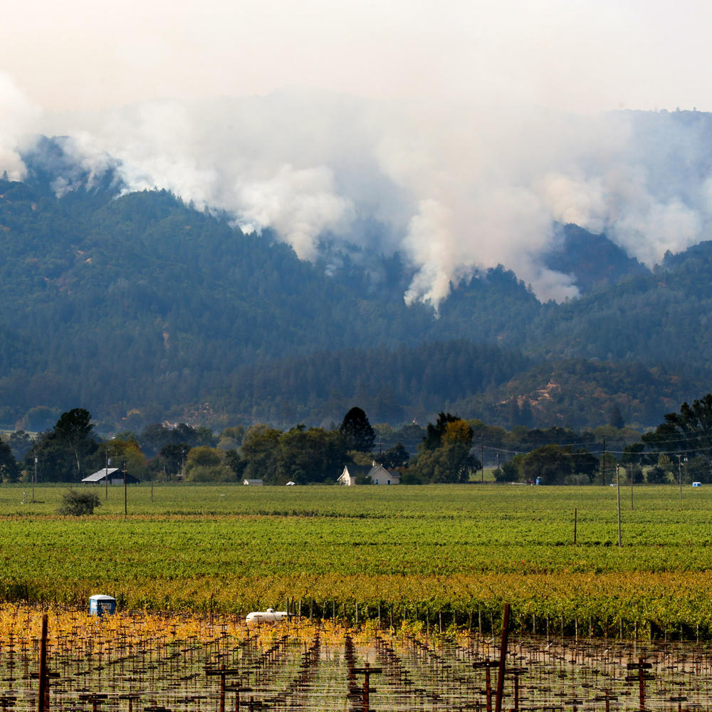 How the Northern California Wildfires Could Change the Wine Industry