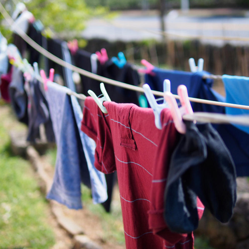 How to Use Laundry Water in Your Garden Sunset Magazine