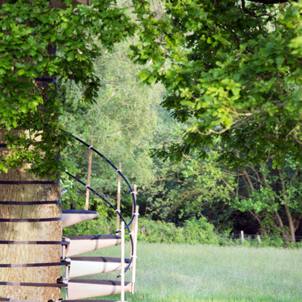 The coolest way to climb a tree Sunset Magazine
