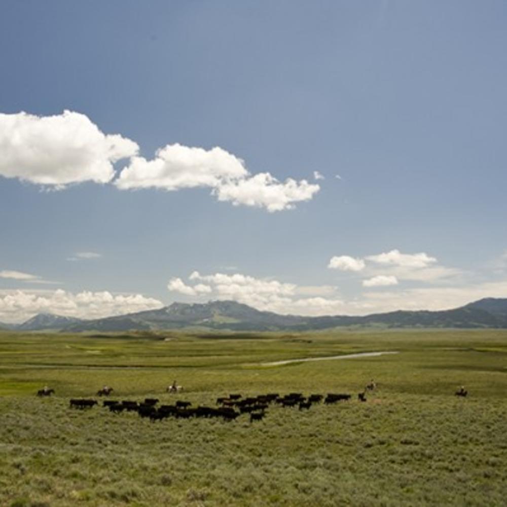 24 Hours on a Montana Cattle Ranch Sunset Magazine