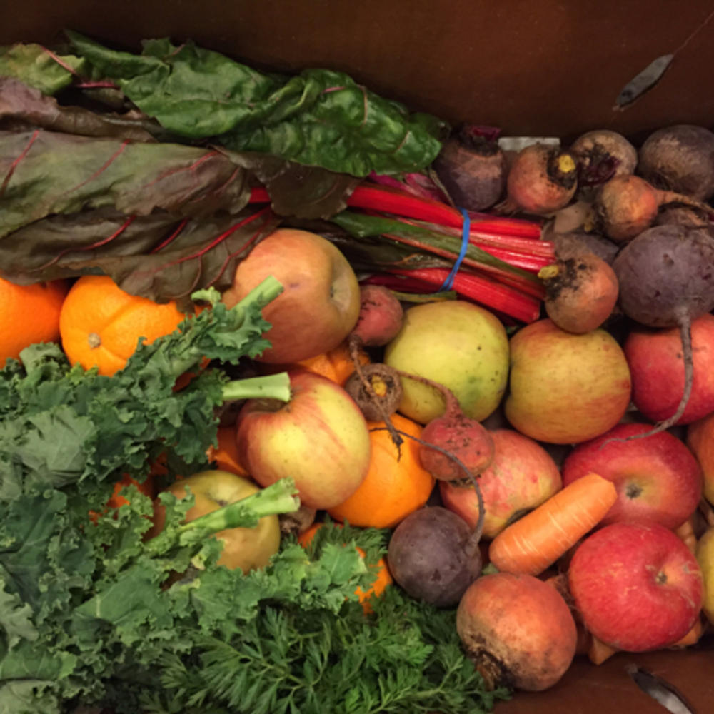 Eat Fresh, Day 5 A balanced blend is key to juicing (no liquid compost