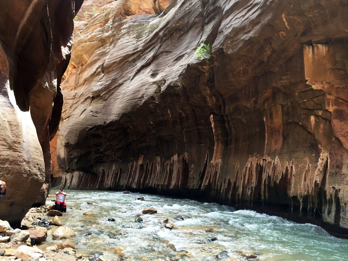 How to Prepare for a Hiking Yrip to Zion's Narrows