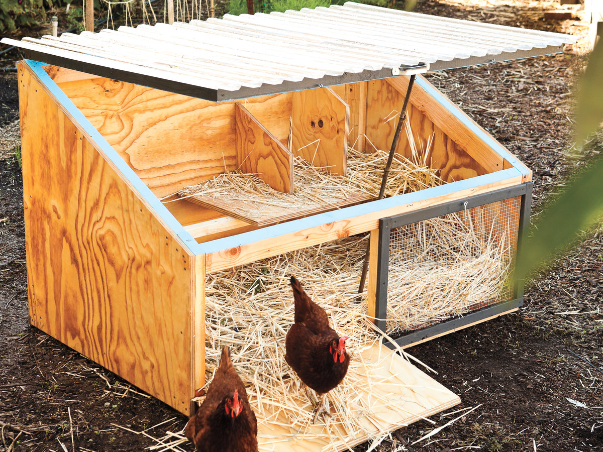 53 Best Pictures Free Backyard Chicken Coop Plans : 13 Free Chicken ... - Icebox Chicken Coop Design
