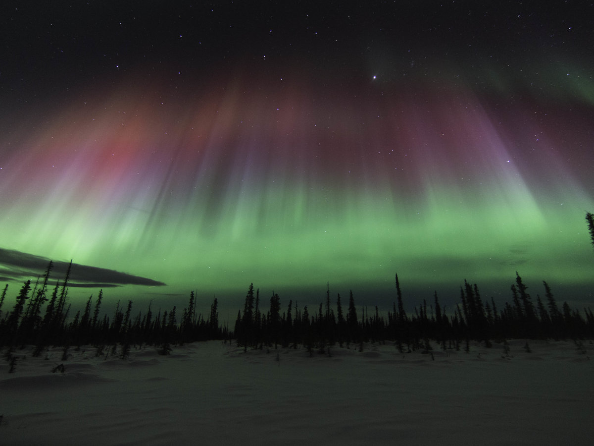 The northern lights above Alaska.  (Photo by Snowshoe Photography, via Flickr.)
