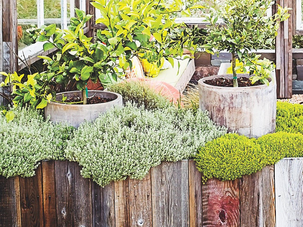 Surprising Planter Boxes Sunset Magazine