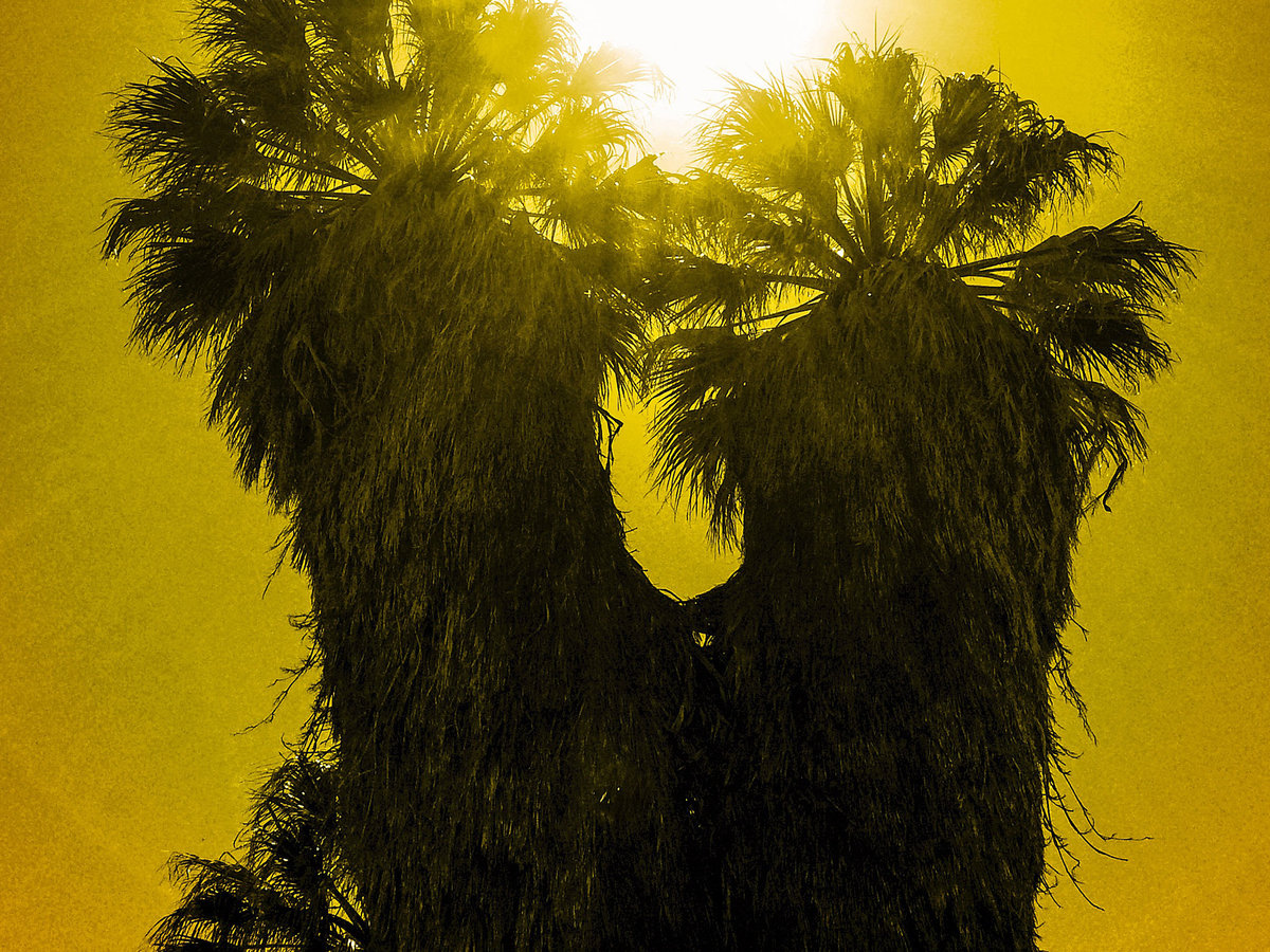 Joshua Tree Park Itineraries Sunset Magazine