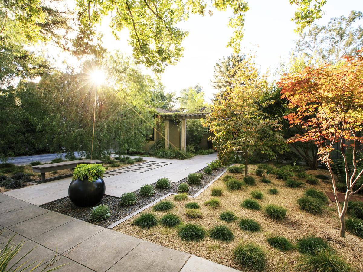 Landscaping without Grass - Sunset Magazine