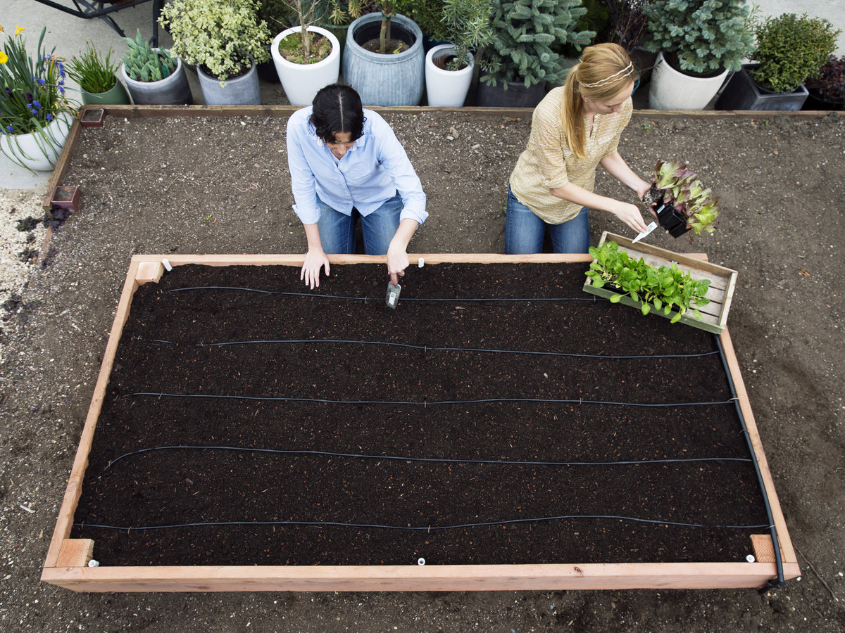 Create a perfect garden without a shovel (photo and video instructions) Create a perfect garden without a shovel (photo and video instructions)