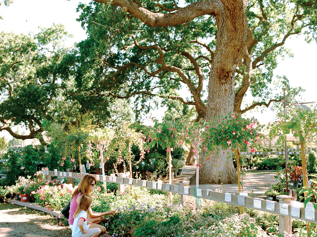 Alden Lane Nursery Sunset Magazine