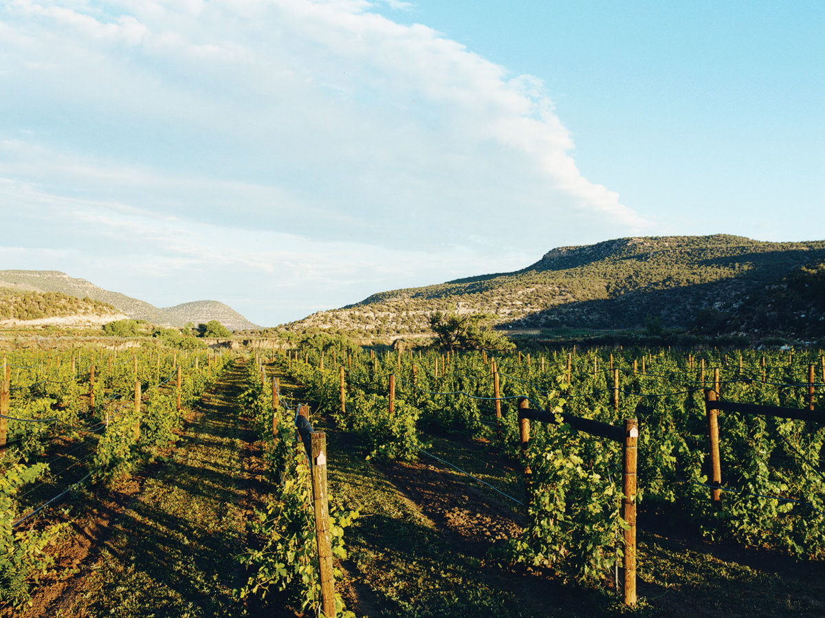Colorado The Next Wine Country Sunset Magazine
