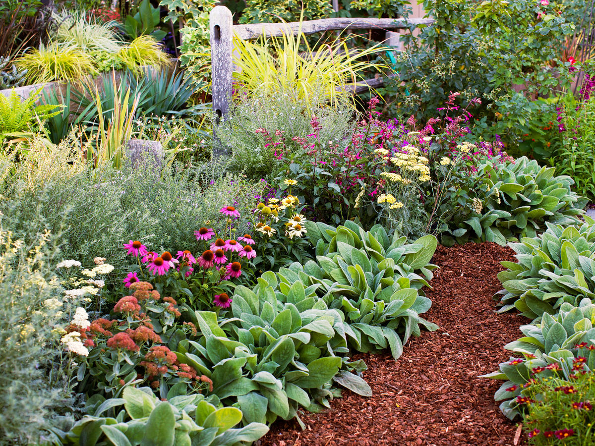 Plant These Fall Flowers For An Instant, How To Make A Fall Flower Garden
