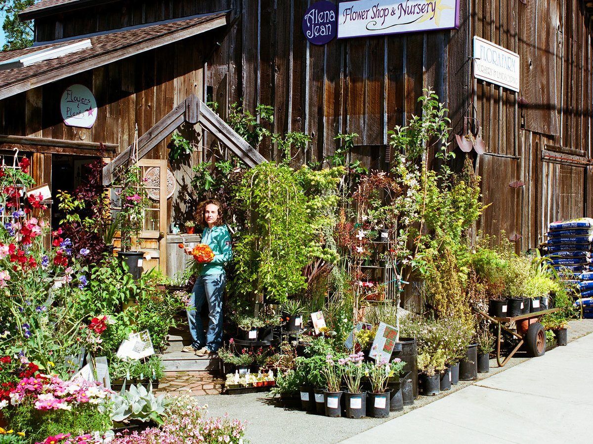 Planting Container-Grown Plants