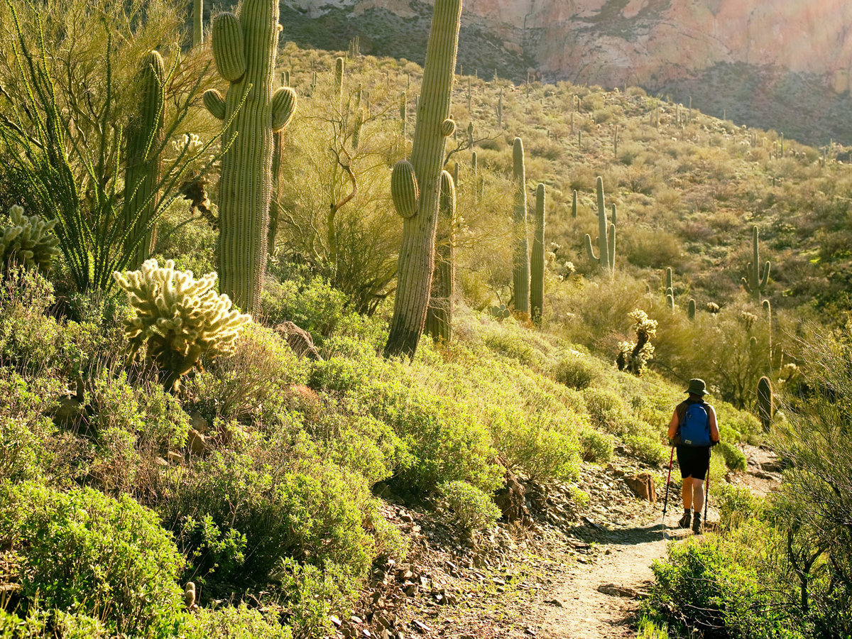 Desert Getaway: The Arizona Trail