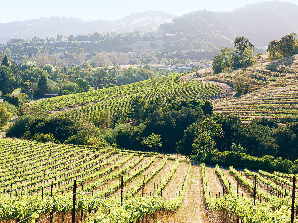 Avila Beach, CA Wine, Waves, and Restaurants Sunset Magazine