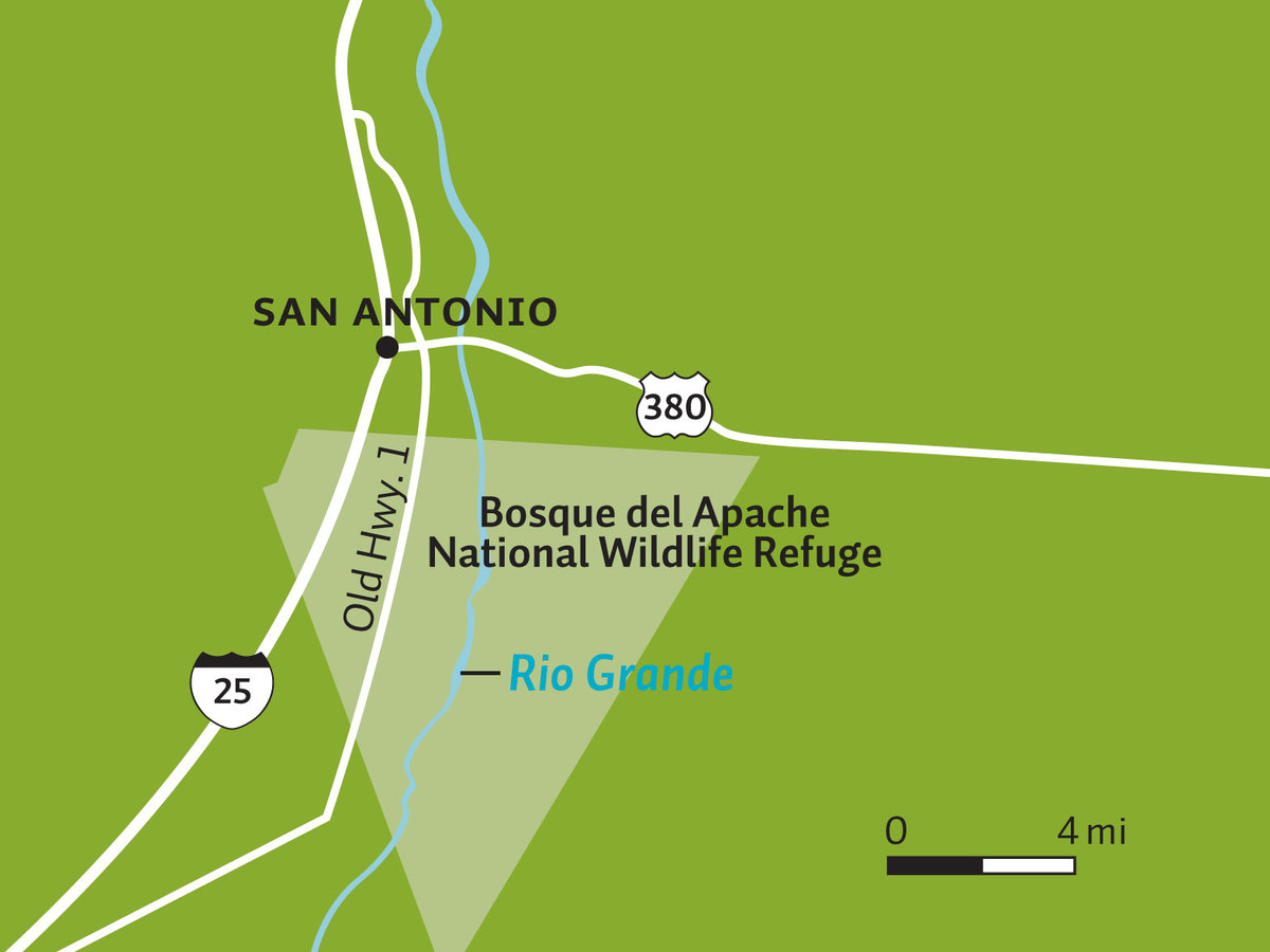 Close-up map of Bosque del Apache