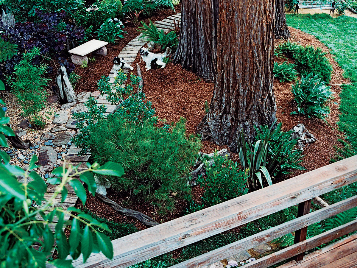 Landscaping for Dogs - Sunset Magazine