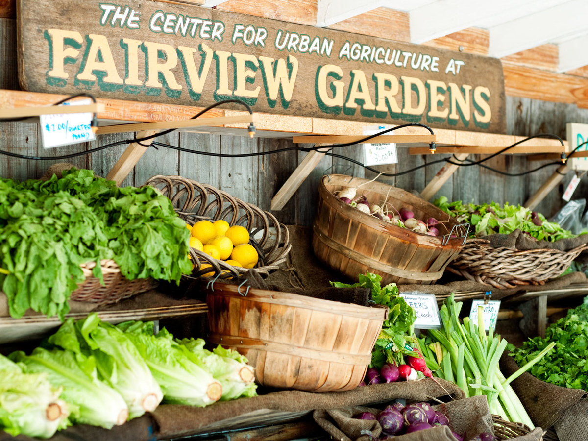 Day trip to Goleta, CA Sunset Magazine