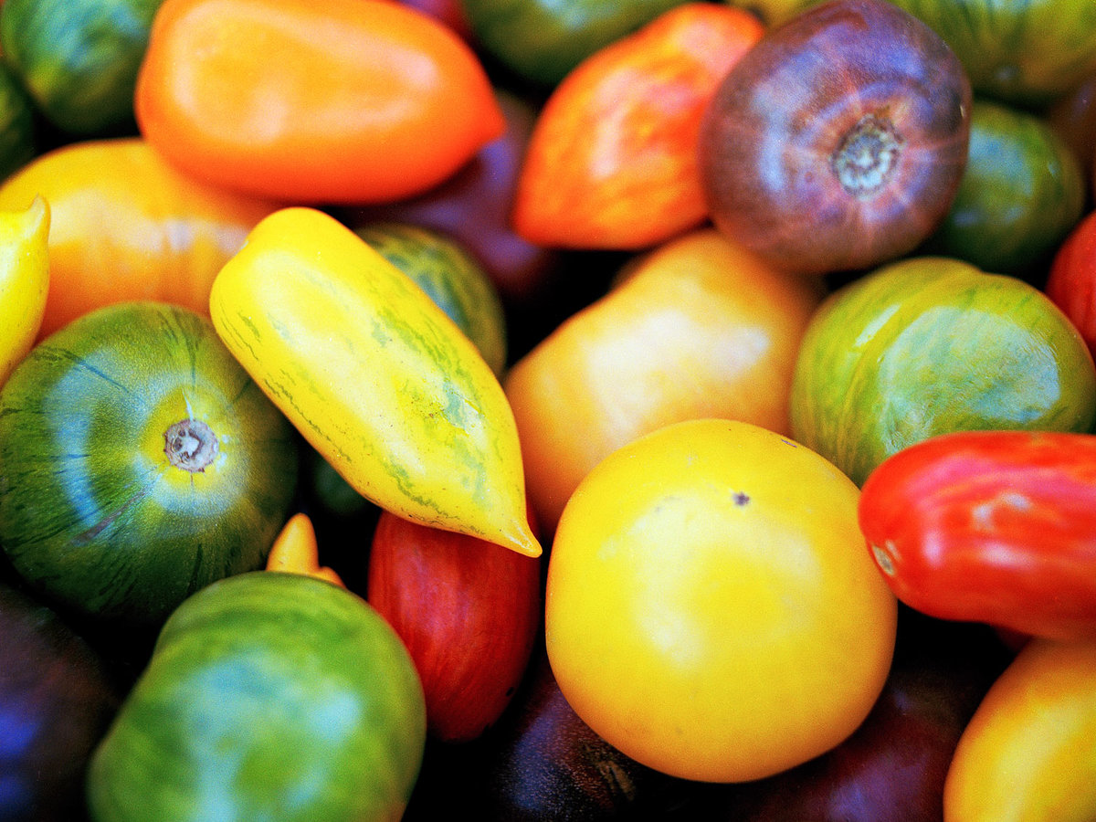 The Vegetable Shop at the Chino Family Farm