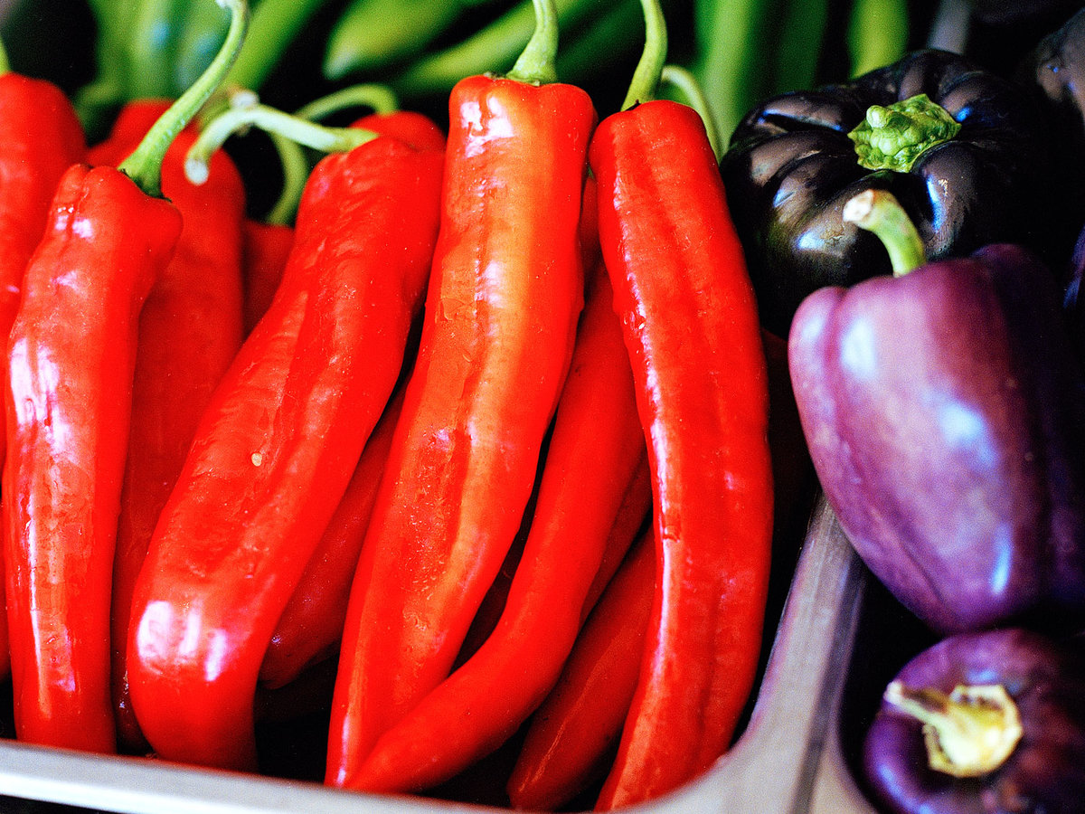 Santa Fe Farmers Market