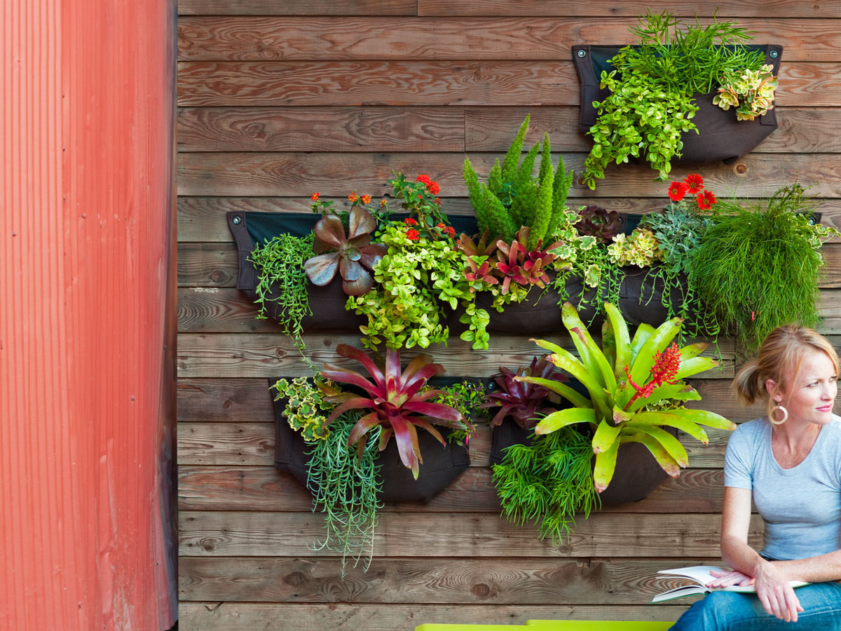 How to make a hanging garden - Sunset Magazine