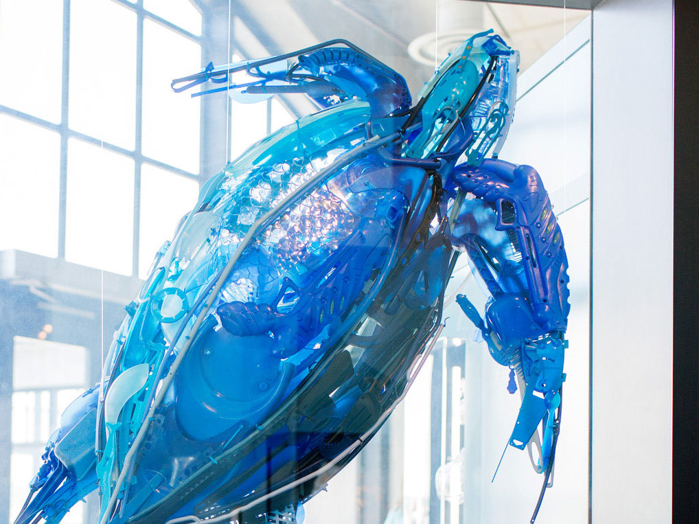Monterey Bay Aquarium sea-creature art