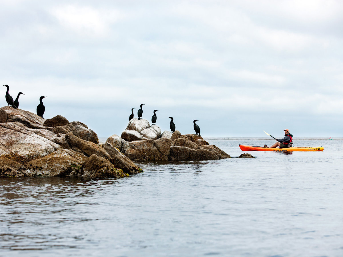 Kayaking on Monterey Bay