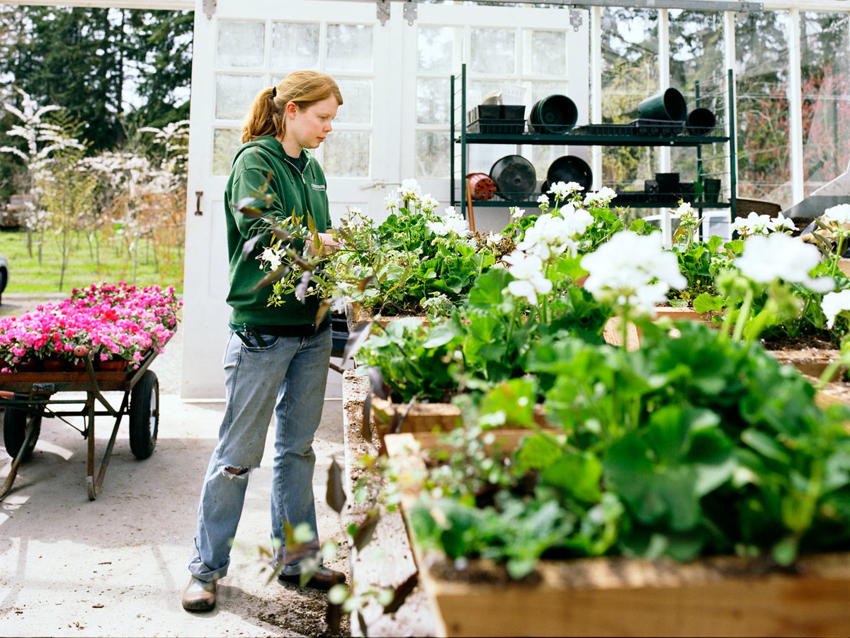 Greenhouse and nursery in Washington