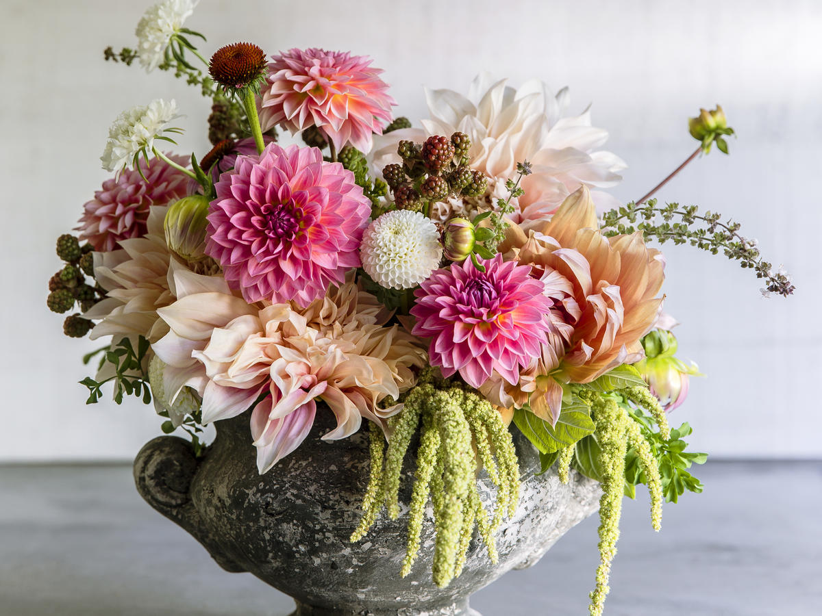 Download Best Bouquet Flowers to Grow - Sunset Magazine