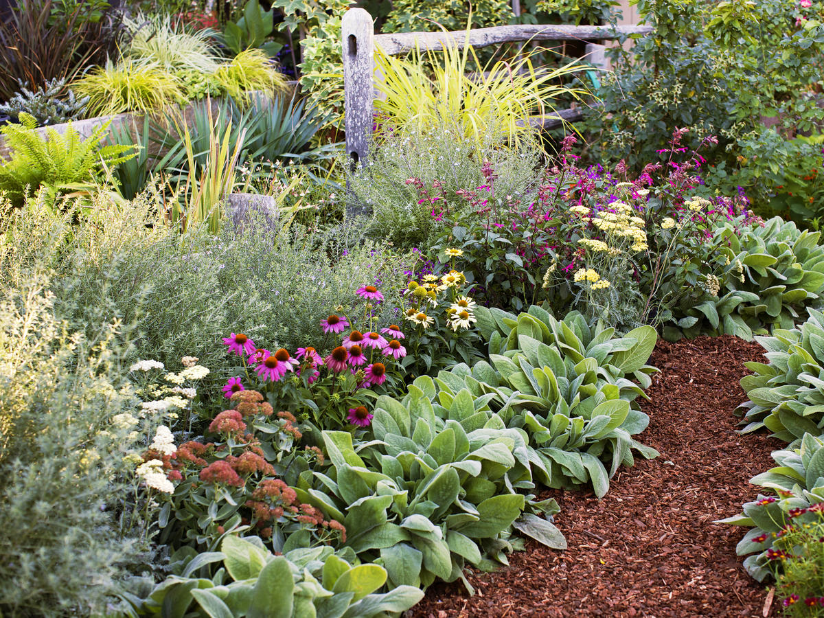 4 Easy-Care Flower Bed Ideas - Sunset Magazine on Annual Flower Bed Designs
 id=77294