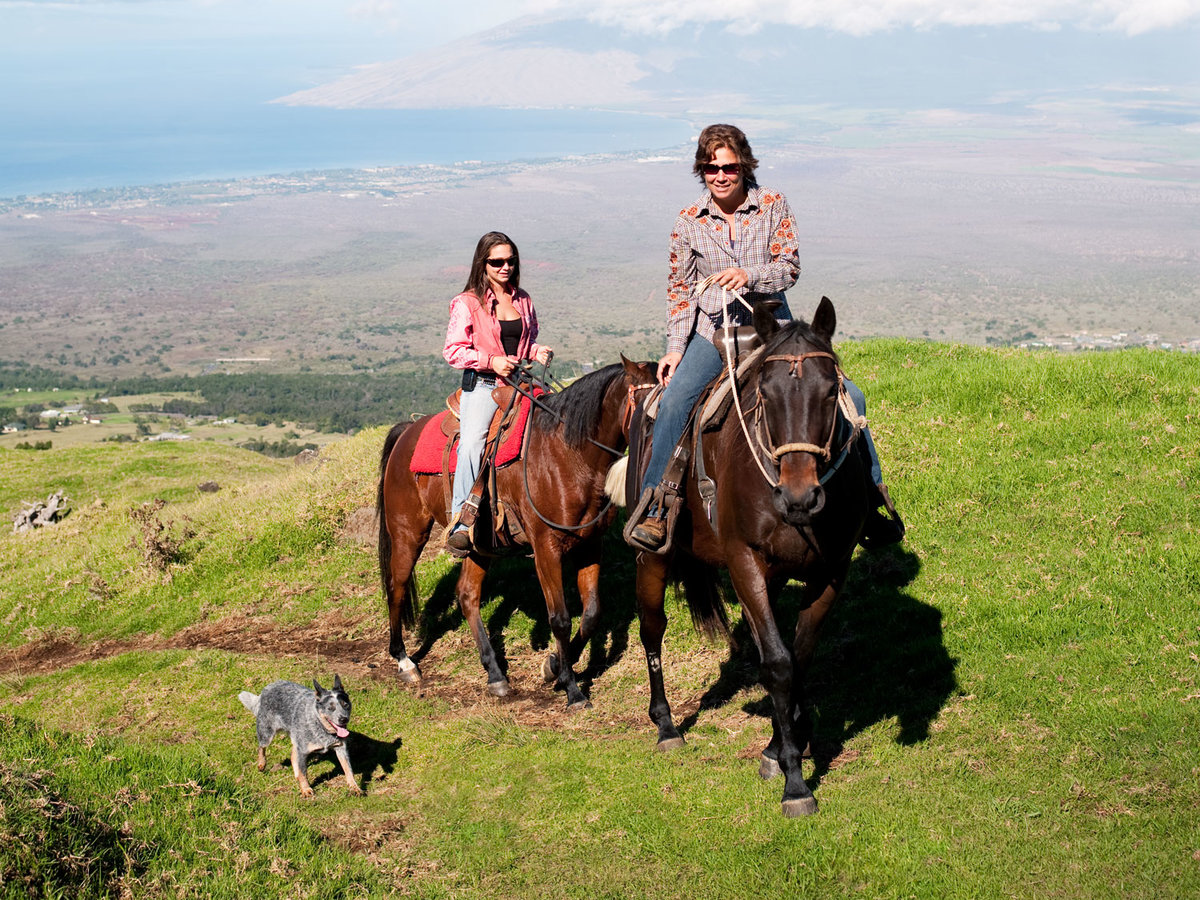 Maui horse riding