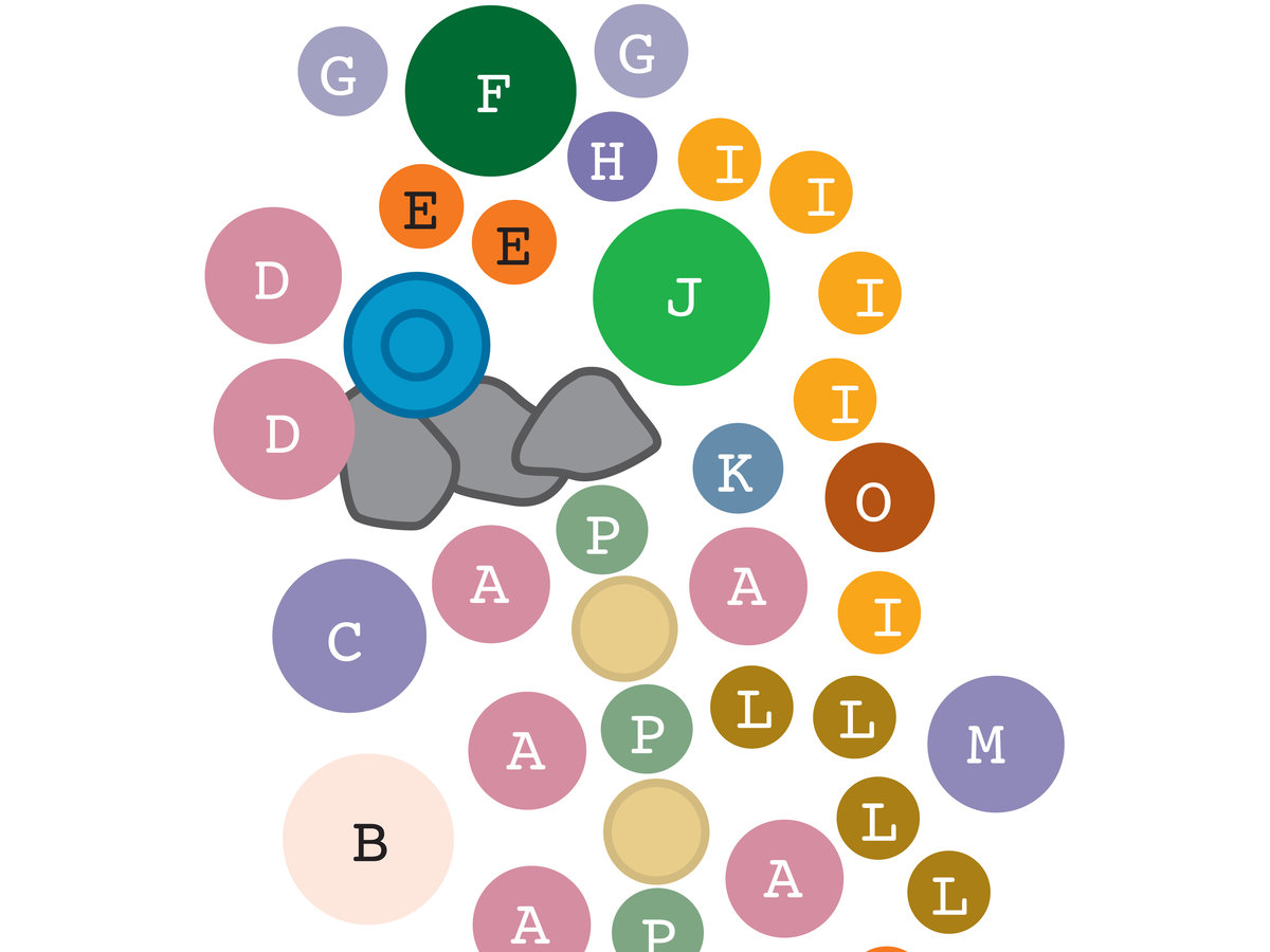 Garden plan