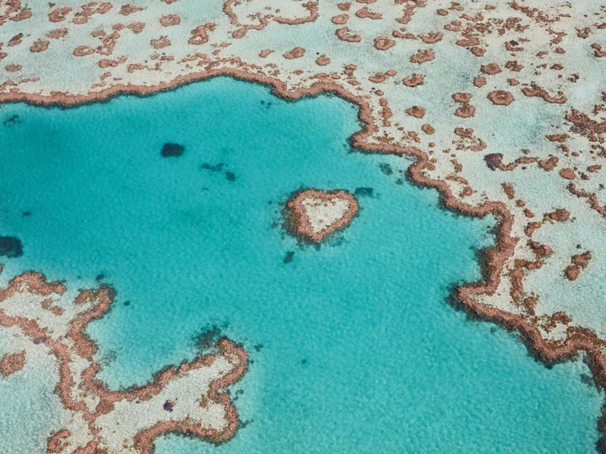 An Australian Reef-inspired Home